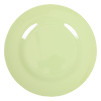 Rice DK Mint Melamine Dinner Plate